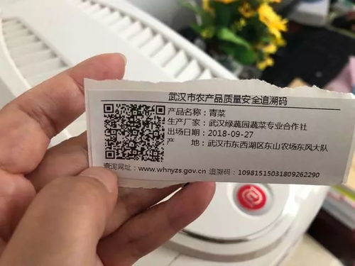 民生 武汉农产品质量安全追溯系统上线 市民可查询菜品 来龙去脉