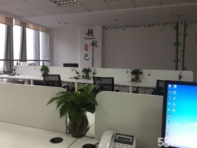 宁波杉宇信息咨询 专业服务助力企业发展